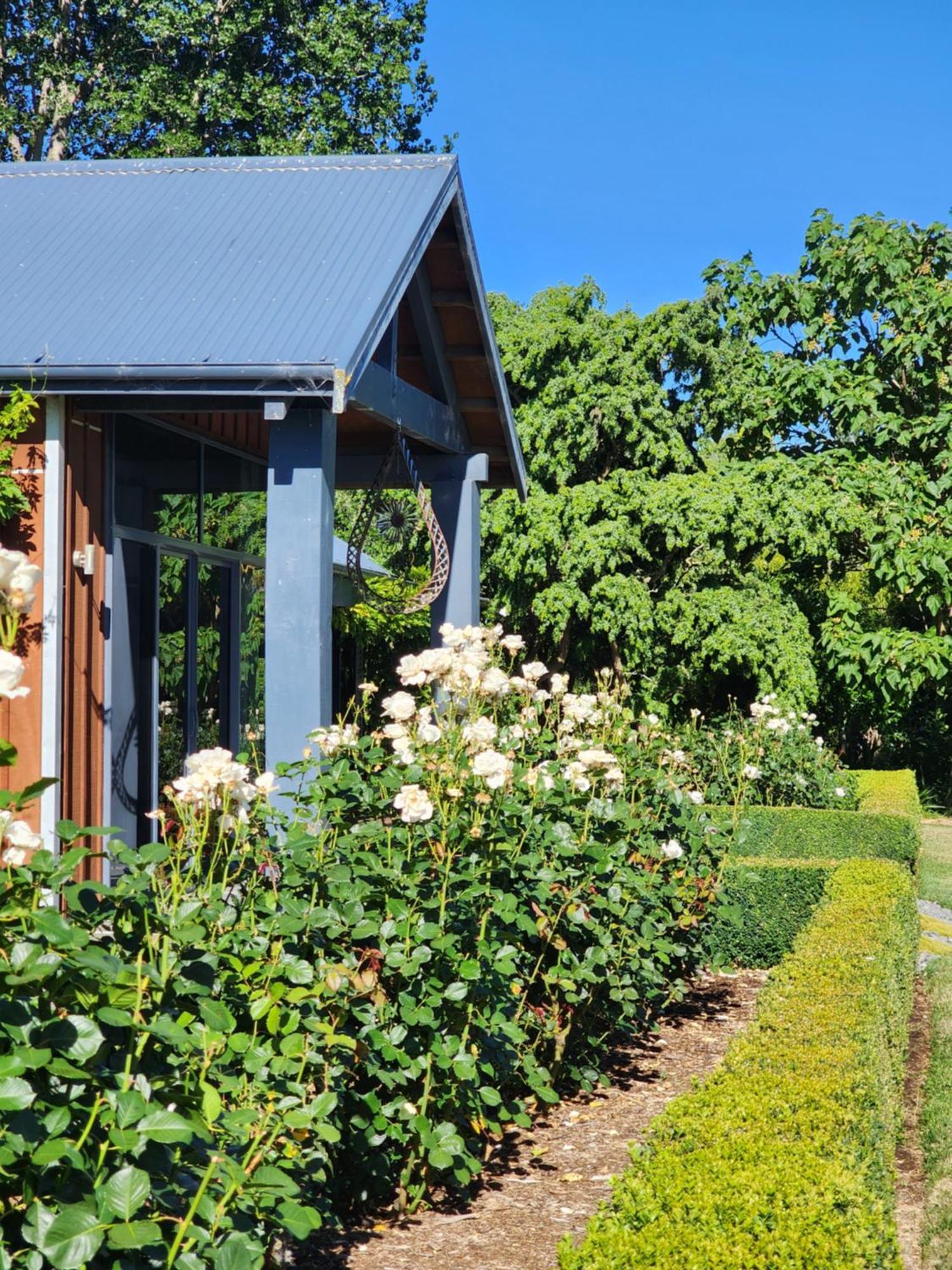 Bed and Breakfast Woodlands à Geraldine Extérieur photo